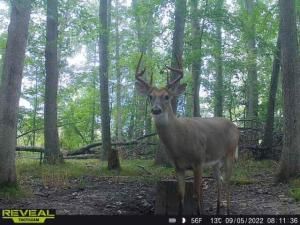 MLS #25028210 img 0