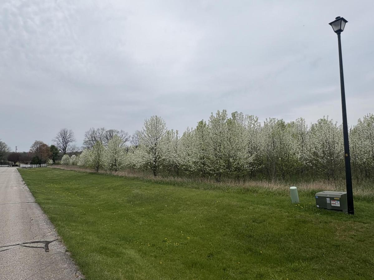 MLS #25028638 img 0