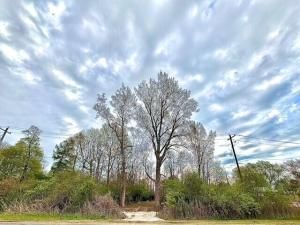 MLS #25032446 img 0