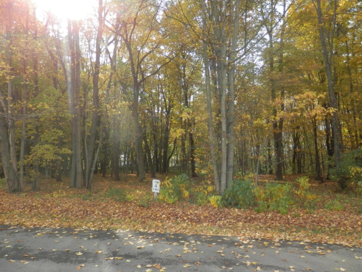 MLS #25035479 img 0