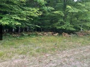 MLS #25037038 img 0