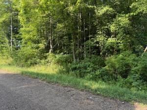 MLS #25040928 img 0