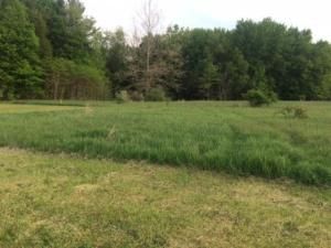MLS #25042737 img 0