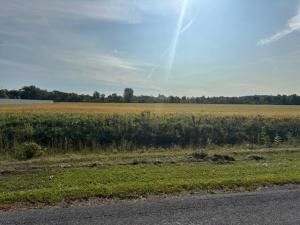 MLS #25046141 img 0