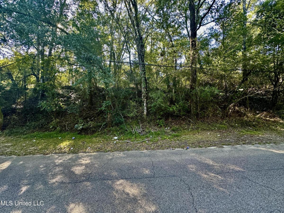 MLS #4128562 img 0