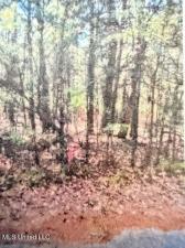 MLS #4139774 img 0