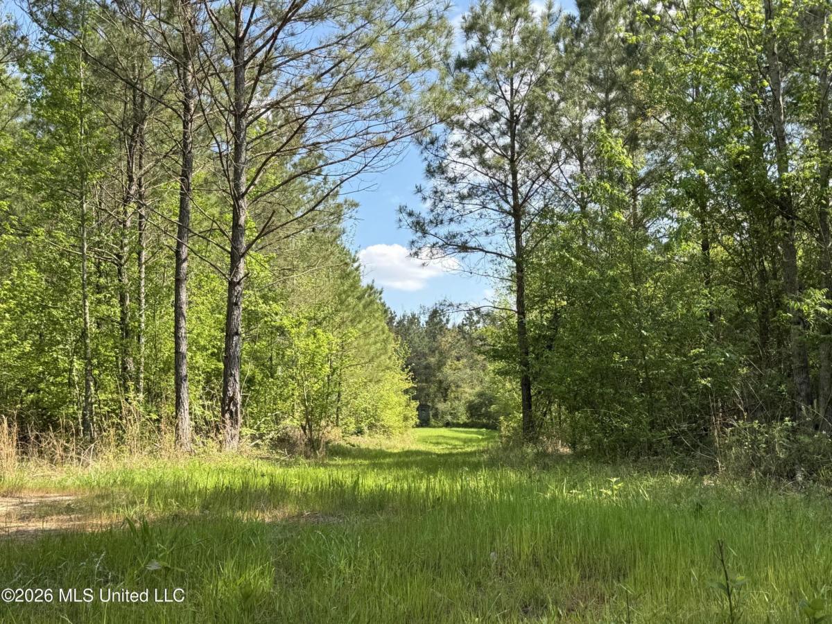 MLS #4146002 img 0