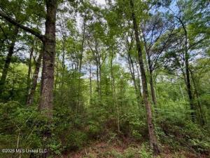MLS #4146218 img 0