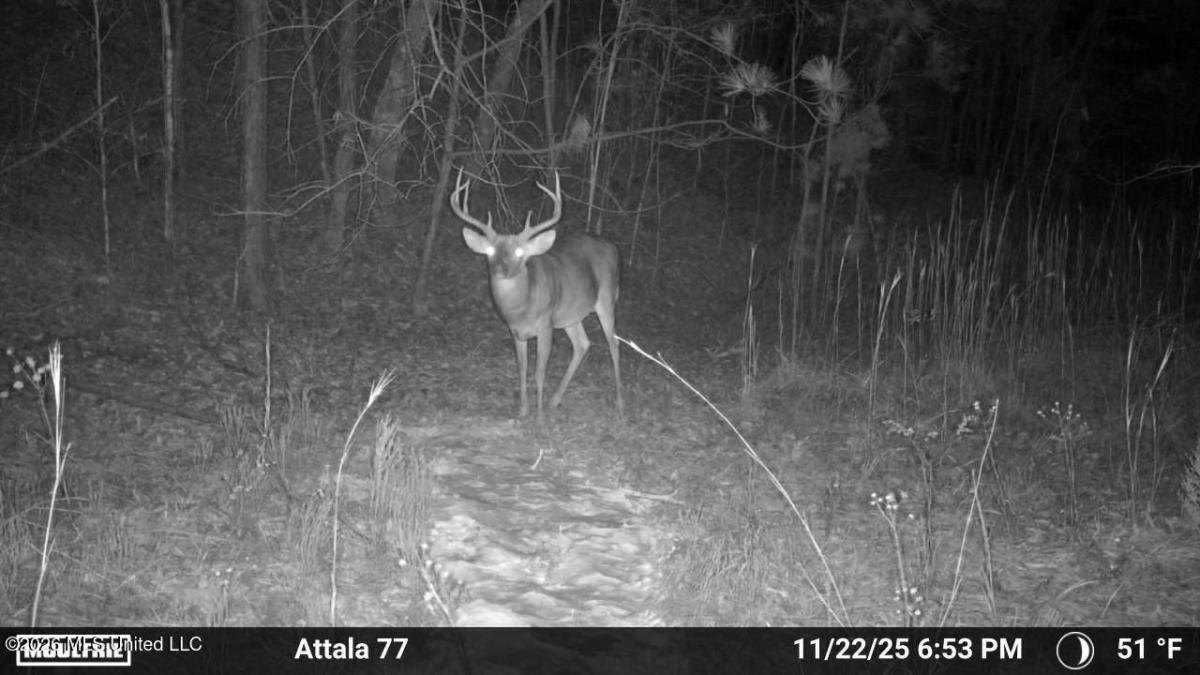 MLS #4146704 img 0