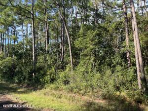 MLS #4147294 img 0
