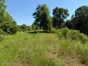 MLS #4149874 img 0