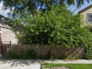 MLS #MRD12359326 img 0