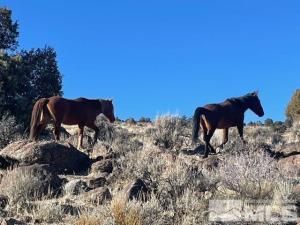 MLS #250001636 img 0