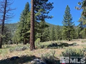 MLS #250005831 img 0