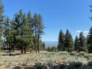 MLS #250050070 img 0