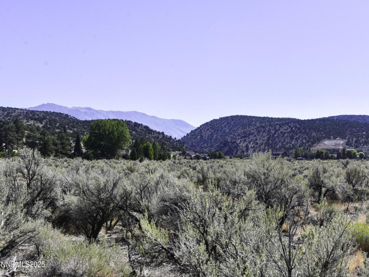 MLS #250050113 img 0