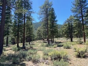 MLS #250050141 img 0
