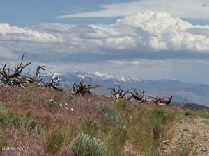MLS #250050929 img 0