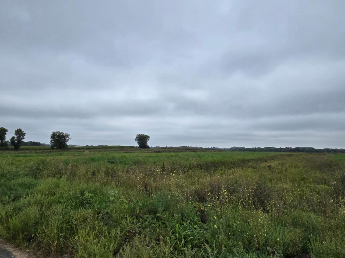 MLS #NST6593451 img 0