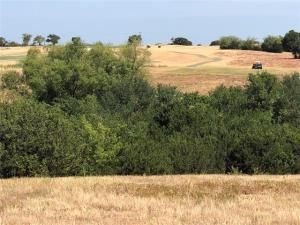 MLS #20121009 img 0