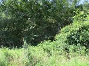 MLS #20369878 img 0