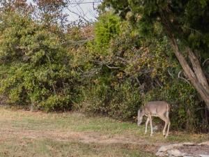 MLS #20408180 img 0