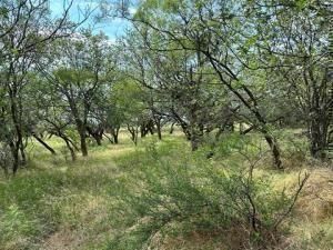 MLS #20550634 img 0