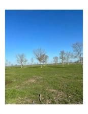 MLS #20590173 img 0
