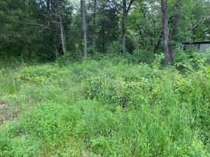 MLS #20593199 img 0
