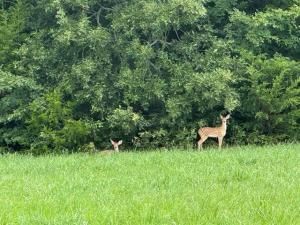 MLS #20637064 img 0