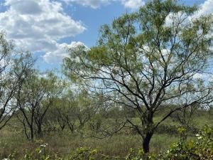 MLS #20721750 img 0