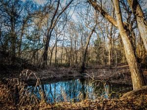 MLS #20751370 img 0
