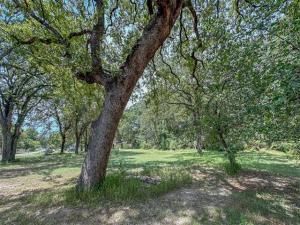 MLS #20814814 img 0