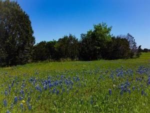 MLS #20835902 img 0