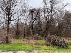 MLS #20842975 img 0