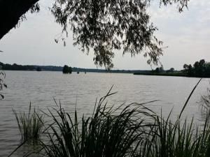 MLS #20855370 img 0