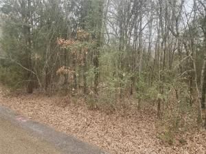 MLS #20860082 img 0