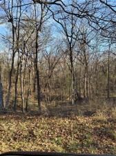 MLS #20862048 img 0