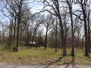 MLS #20876261 img 0