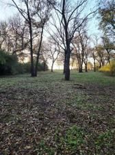 MLS #20880400 img 0