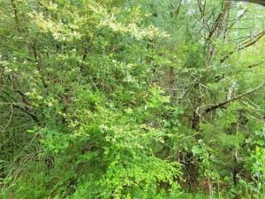 MLS #20880609 img 0