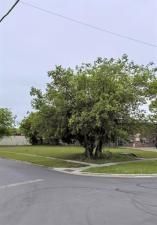 MLS #20885377 img 0