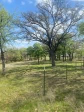 MLS #20886107 img 0