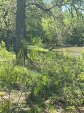 MLS #20894150 img 0