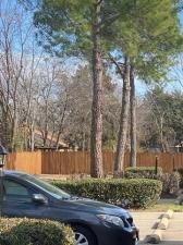 MLS #20898722 img 0