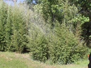MLS #20899877 img 0