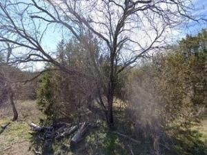 MLS #20914134 img 0