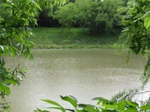MLS #20917174 img 0
