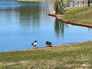 MLS #20919627 img 0