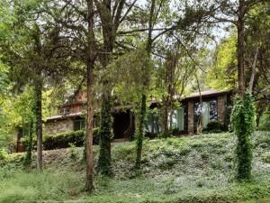 MLS #20920294 img 0